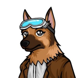 Cyber Triage logo